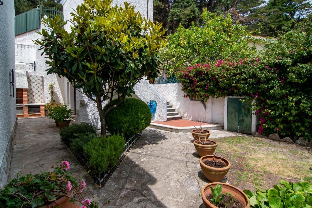 Villa Vivenda Santiago à Sesimbra Extérieur photo